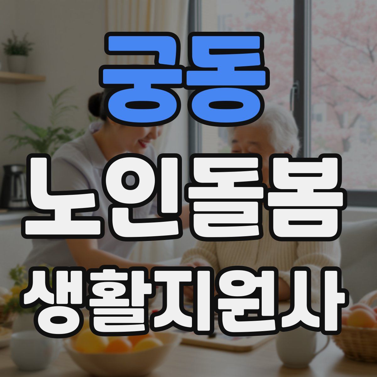 궁동 노인돌봄생활지원사 자격증