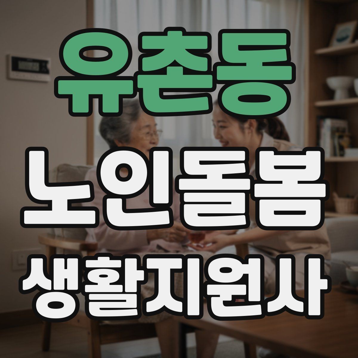 유촌동 노인돌봄생활지원사 자격증 방문 전 어르신 상태를 파악하는 질문 예시