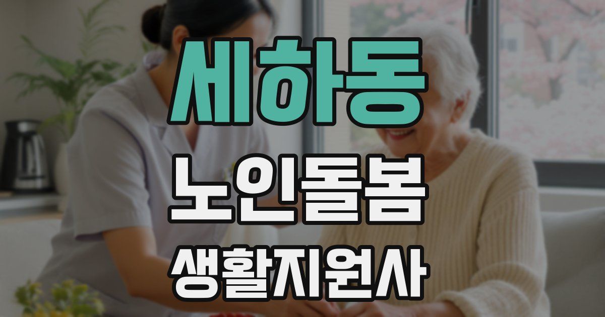 세하동 노인돌봄생활지원사 자격증