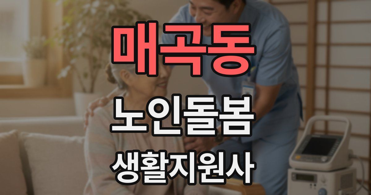 매곡동 노인돌봄생활지원사 자격증