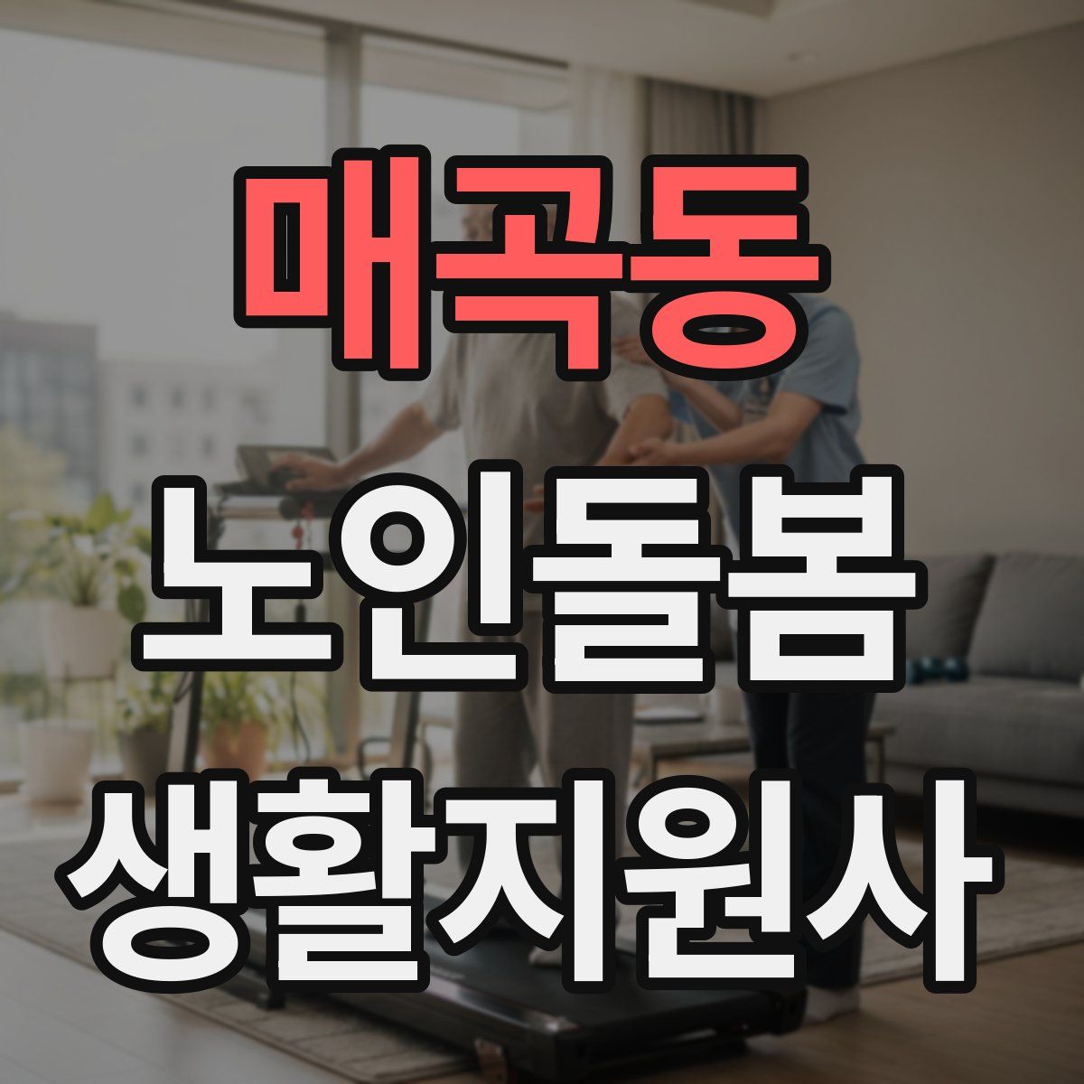 매곡동 노인돌봄생활지원사 자격증