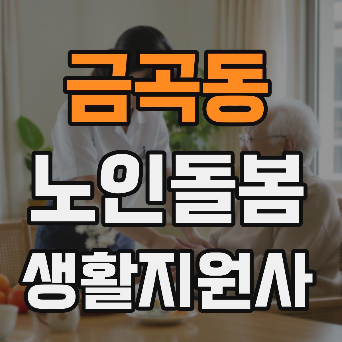 금곡동 노인돌봄생활지원사 자격증