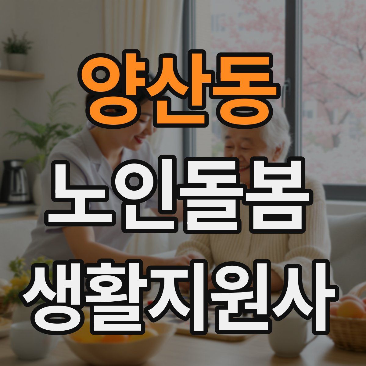 양산동 노인돌봄생활지원사 자격증