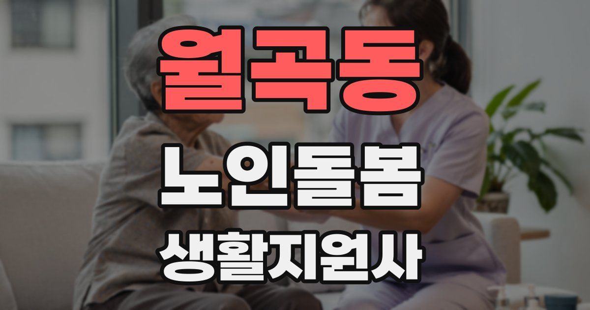 월곡동 노인돌봄생활지원사 자격증