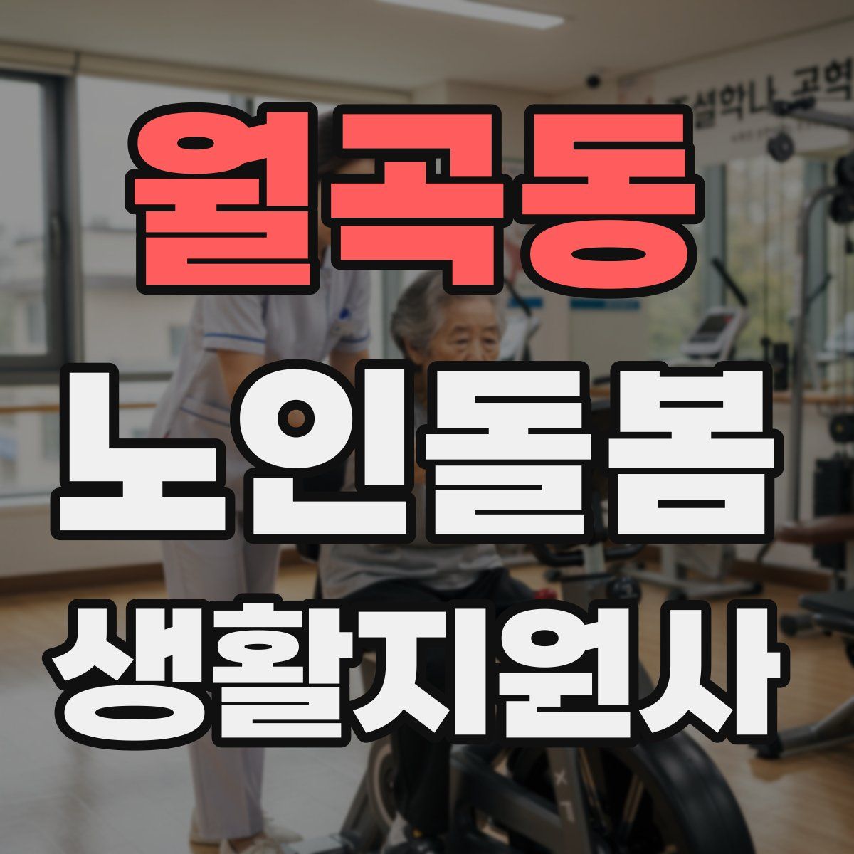 월곡동 노인돌봄생활지원사 자격증