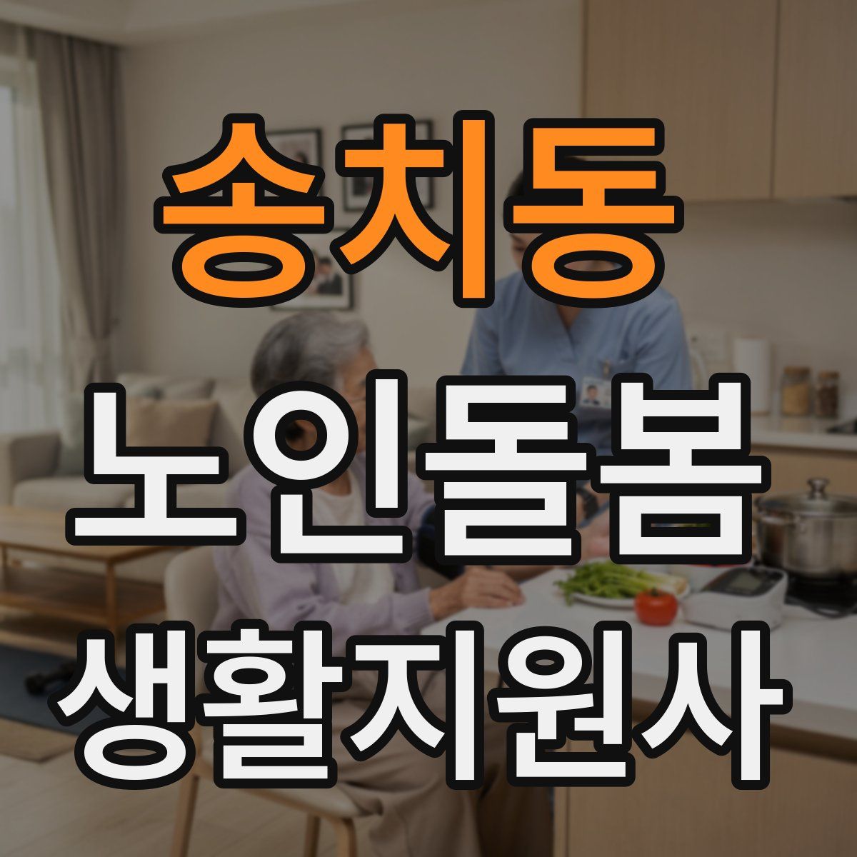 송치동 노인돌봄생활지원사 자격증