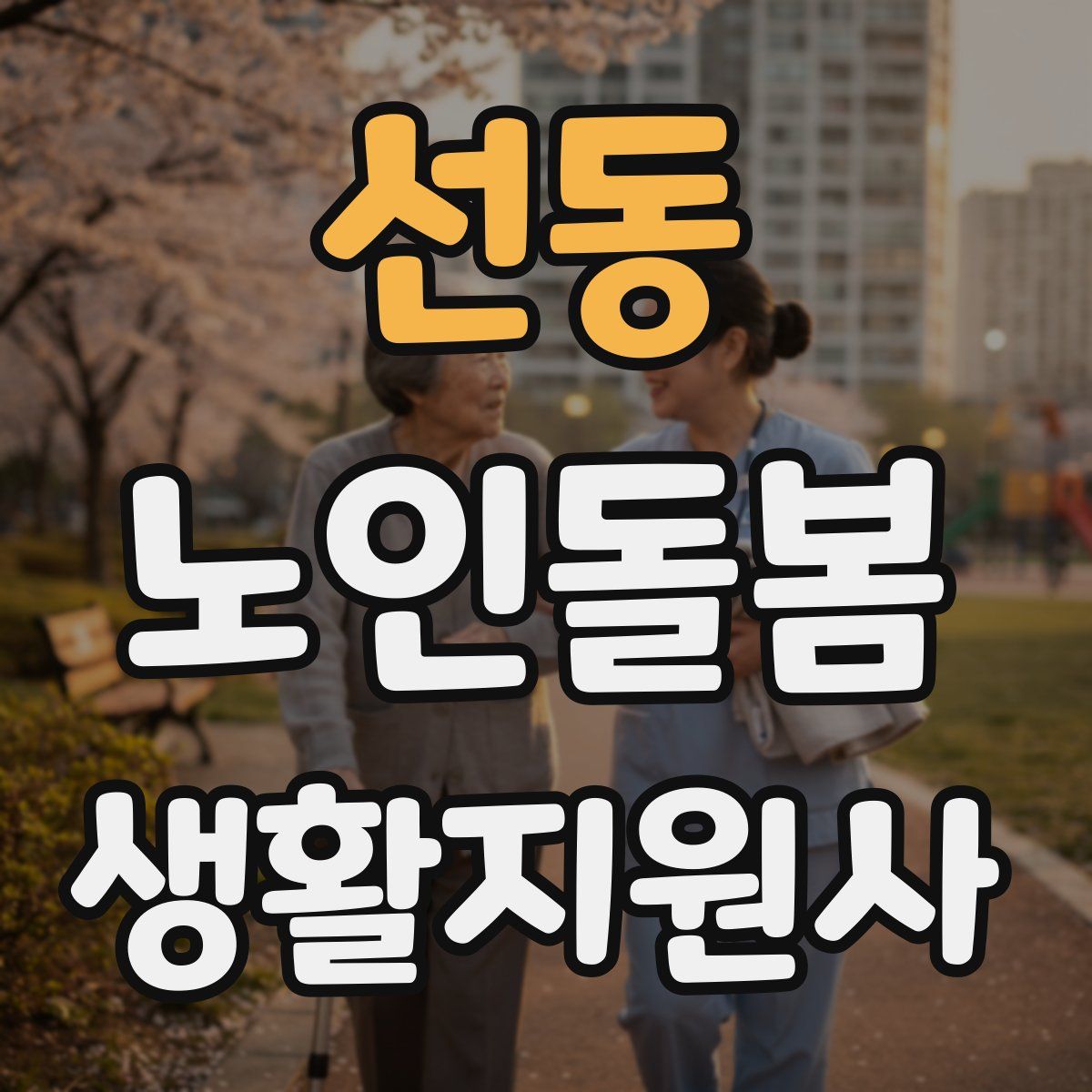 선동 노인돌봄생활지원사 자격증