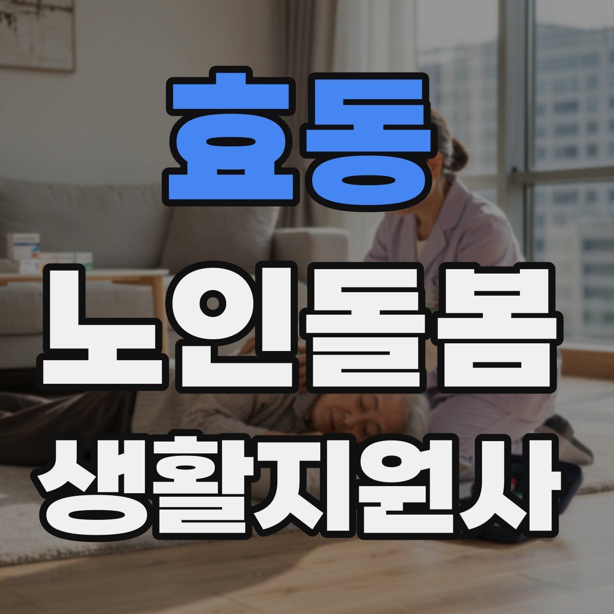 효동 노인돌봄생활지원사 자격증