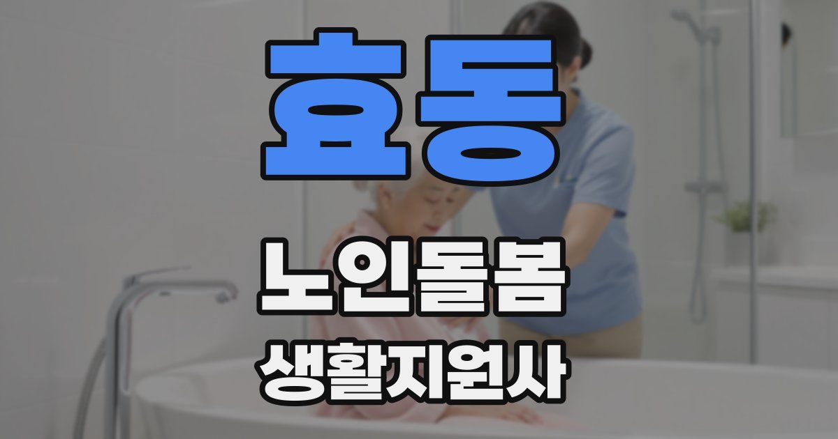 효동 노인돌봄생활지원사 자격증