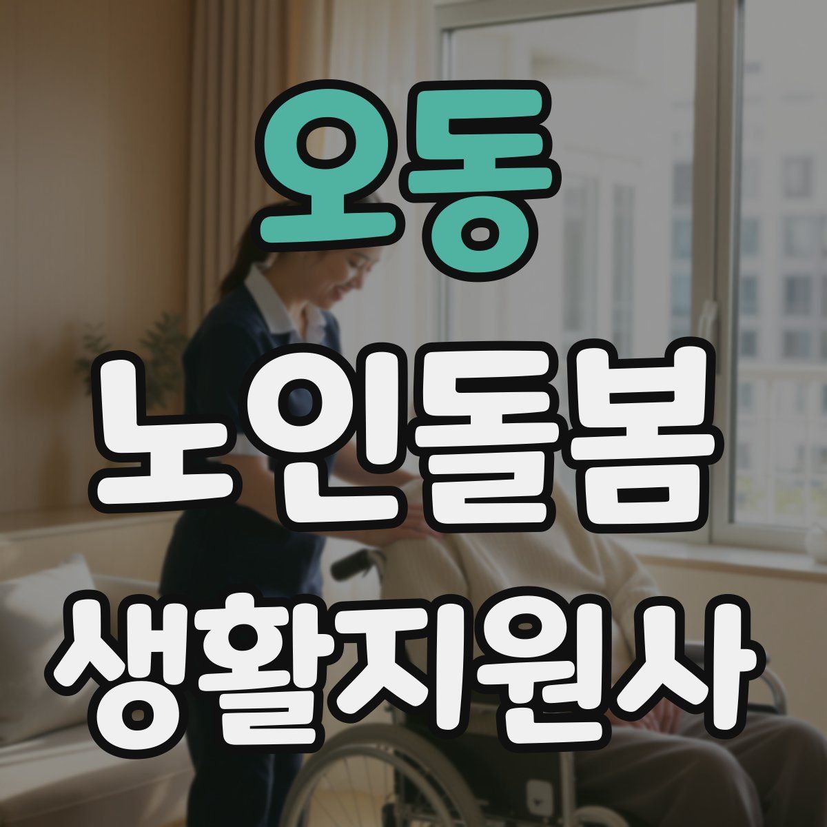 오동 노인돌봄생활지원사 자격증