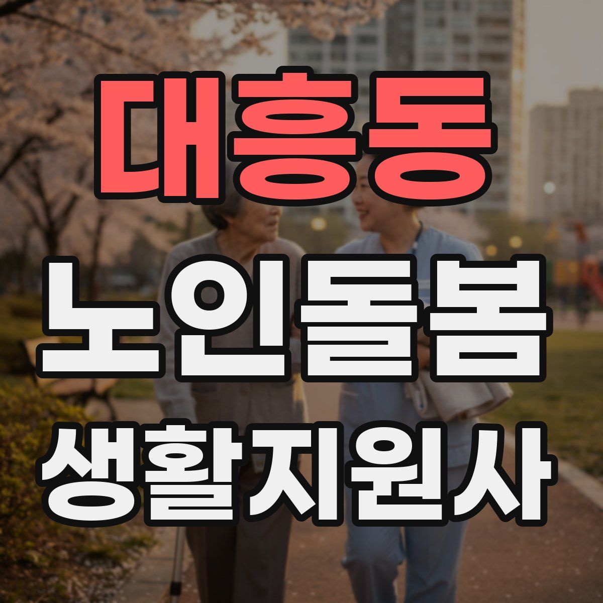 대흥동 노인돌봄생활지원사 자격증