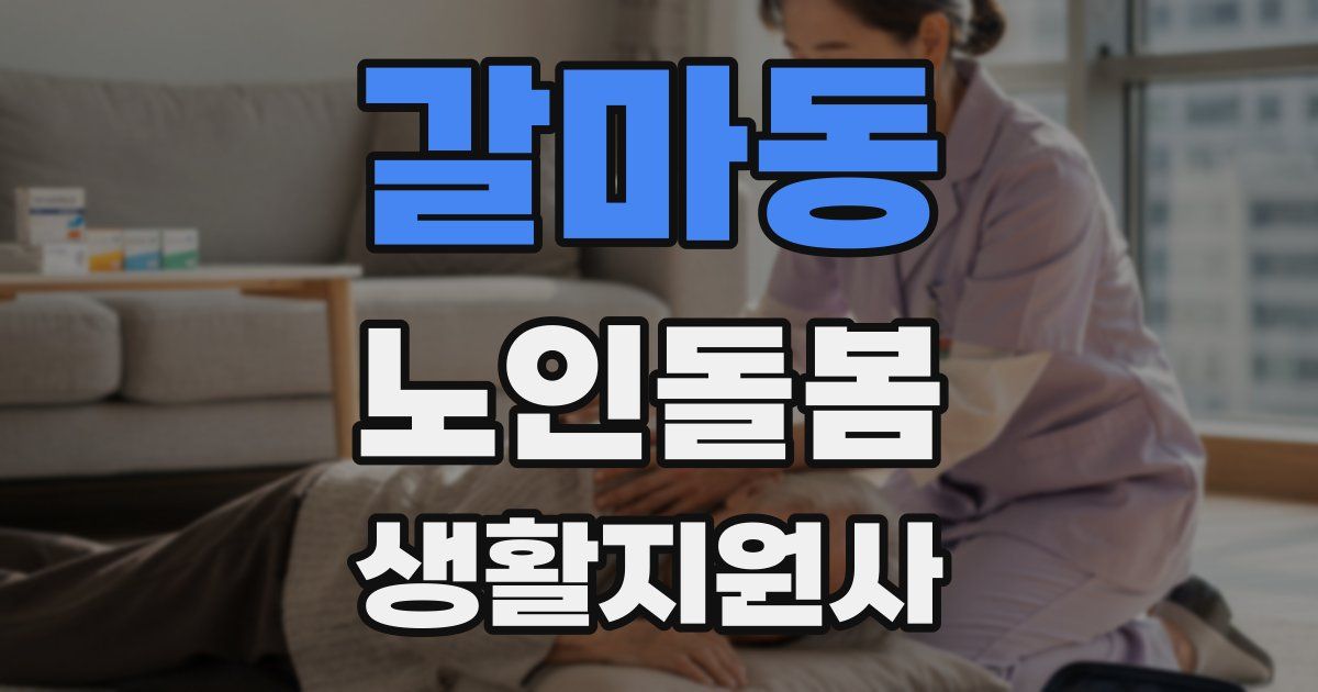 갈마동 노인돌봄생활지원사 자격증