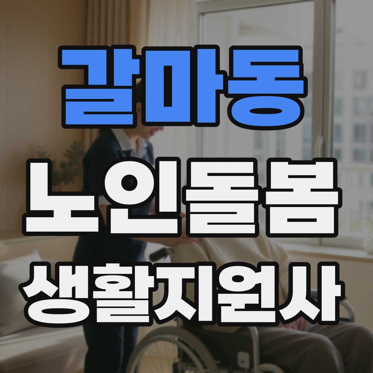 갈마동 노인돌봄생활지원사 자격증