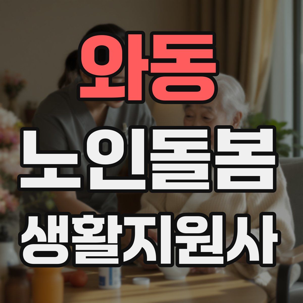 와동 노인돌봄생활지원사 자격증