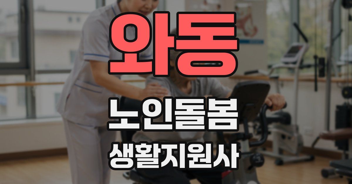 와동 노인돌봄생활지원사 자격증