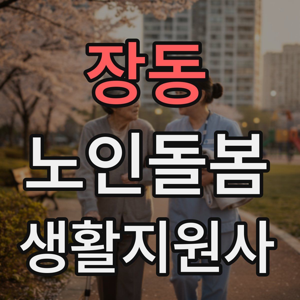 장동 노인돌봄생활지원사 자격증