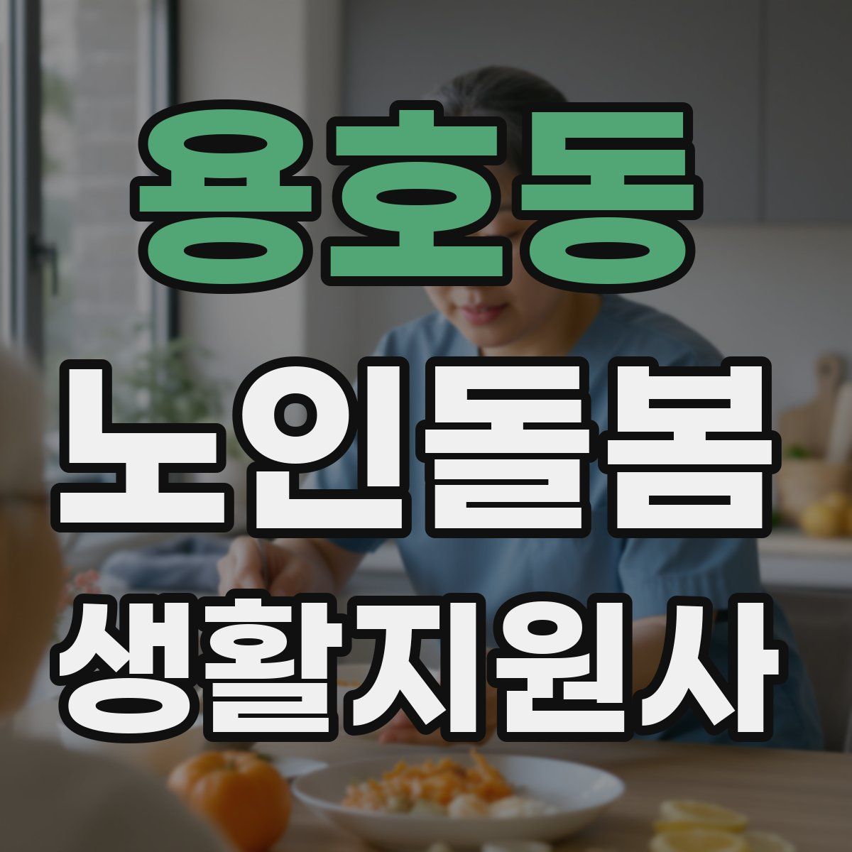 용호동 노인돌봄생활지원사 자격증