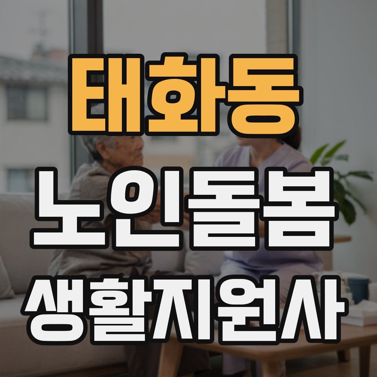 태화동 노인돌봄생활지원사 자격증