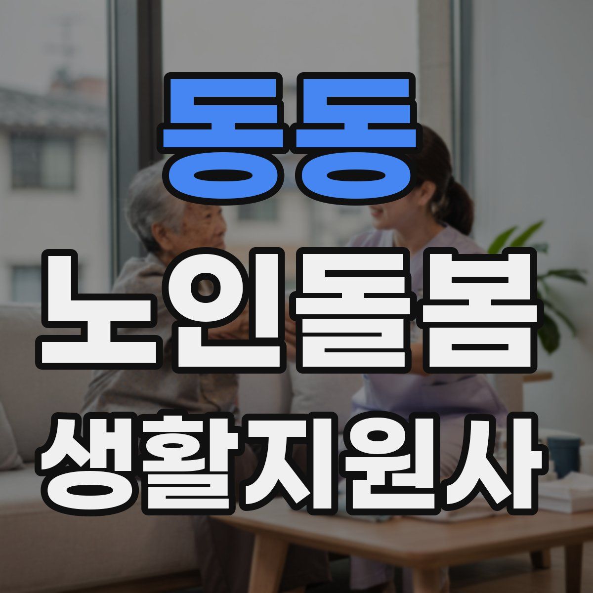 동동 노인돌봄생활지원사 자격증