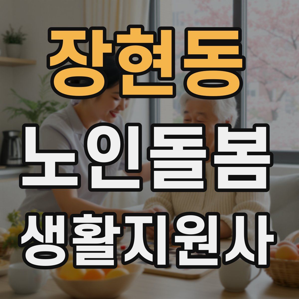 장현동 노인돌봄생활지원사 자격증
