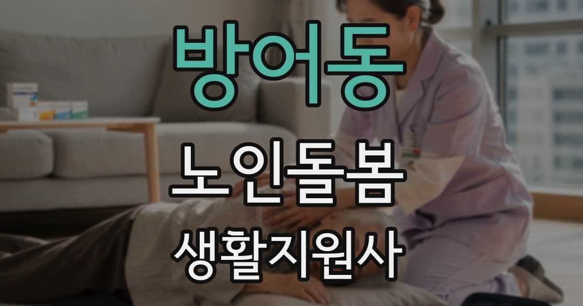 방어동 노인돌봄생활지원사 자격증