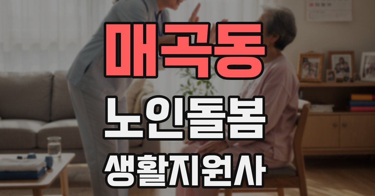 매곡동 노인돌봄생활지원사 자격증