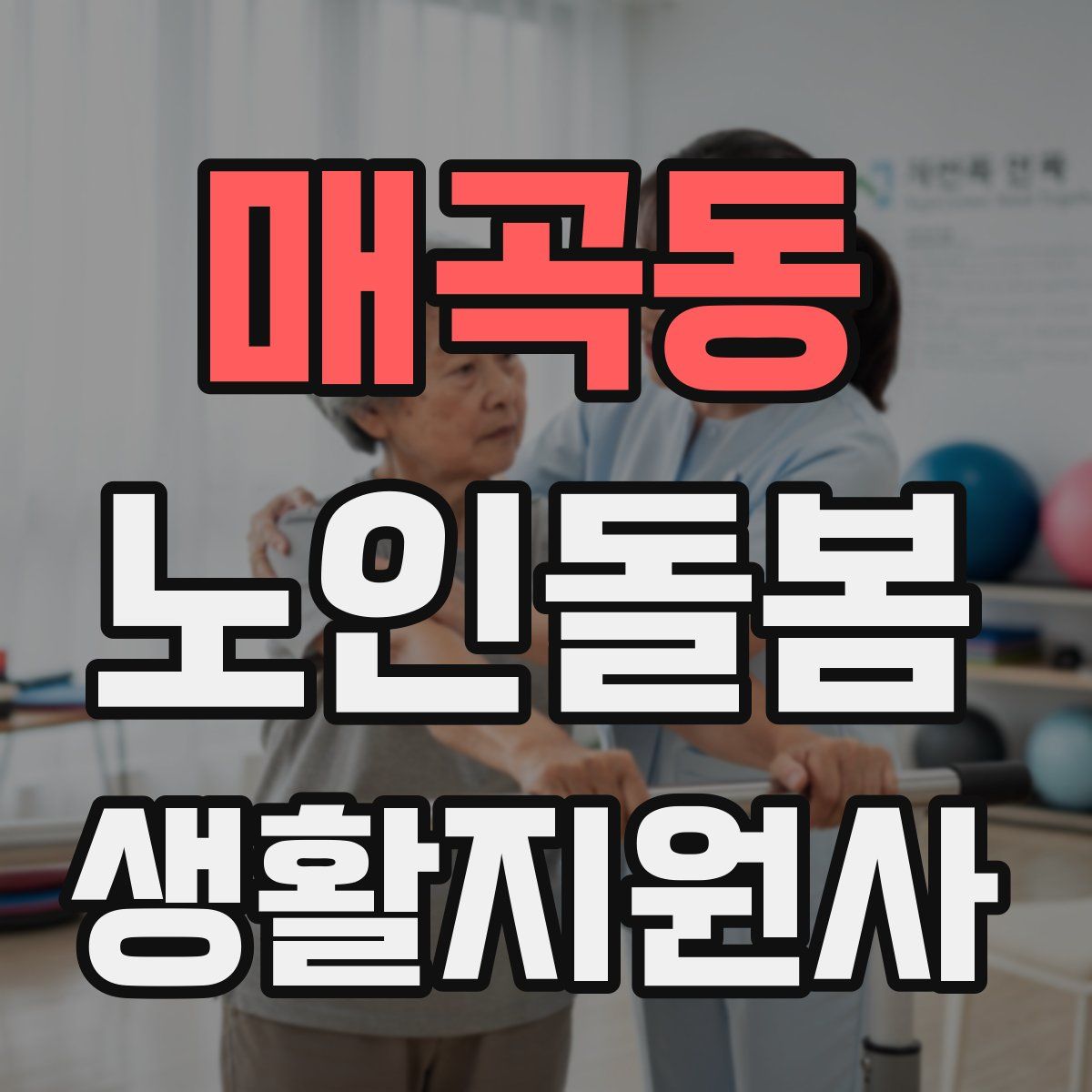 매곡동 노인돌봄생활지원사 자격증