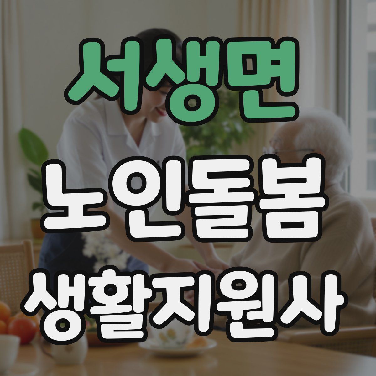 서생면 노인돌봄생활지원사 자격증
