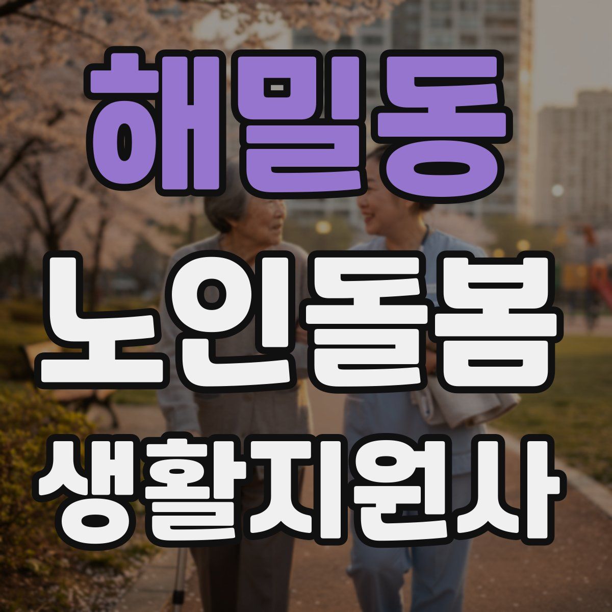 해밀동 노인돌봄생활지원사 자격증