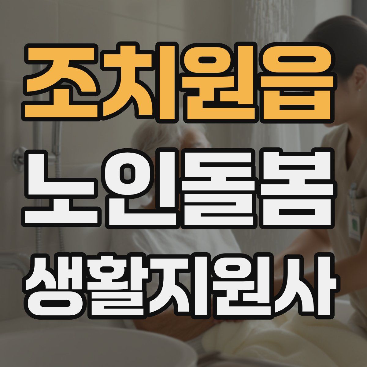 조치원읍 노인돌봄생활지원사 자격증