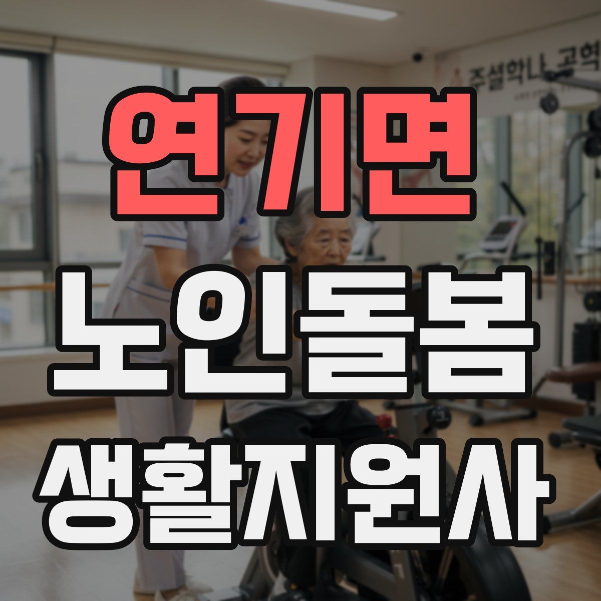 연기면 노인돌봄생활지원사 자격증