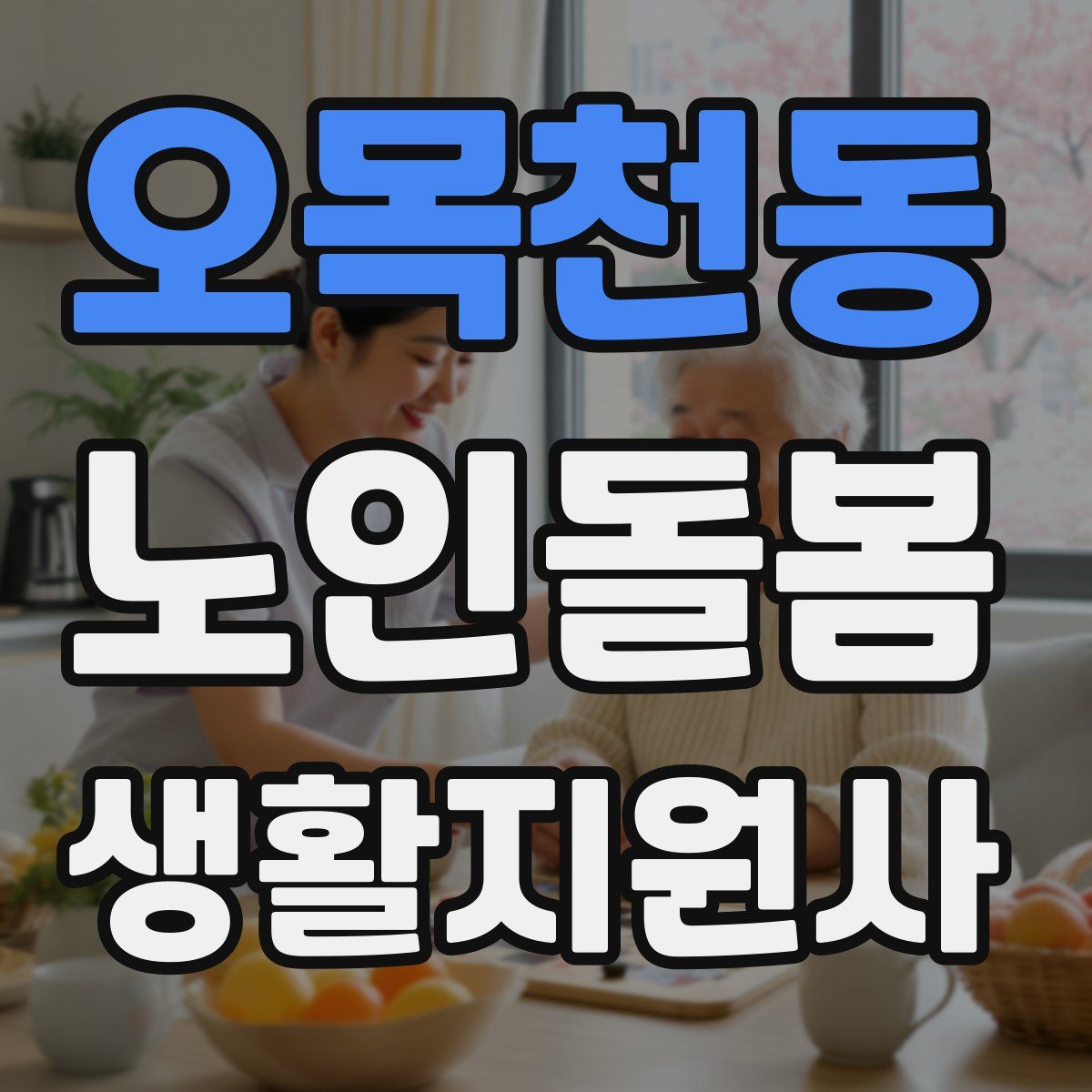 오목천동 노인돌봄생활지원사 자격증