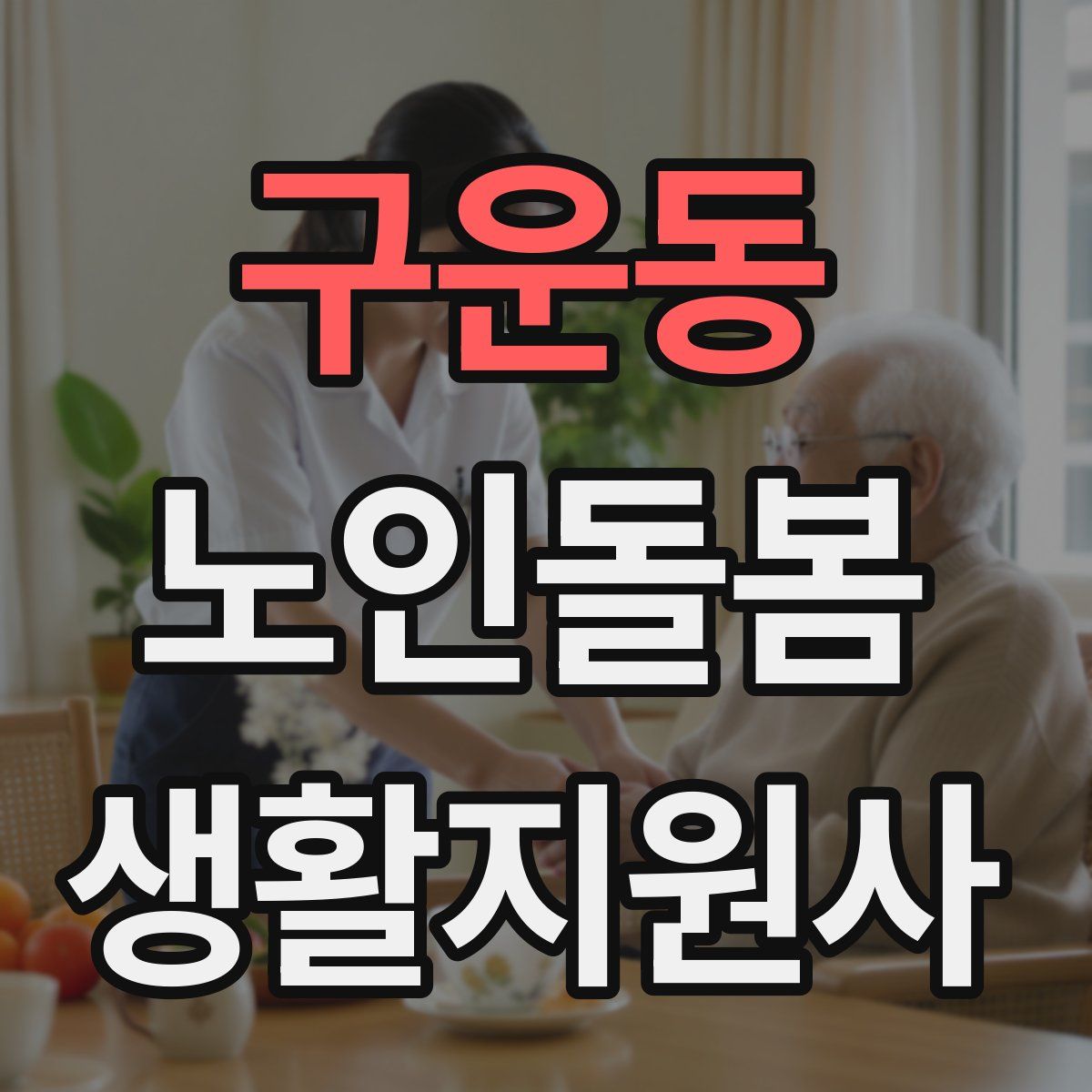 구운동 노인돌봄생활지원사 자격증