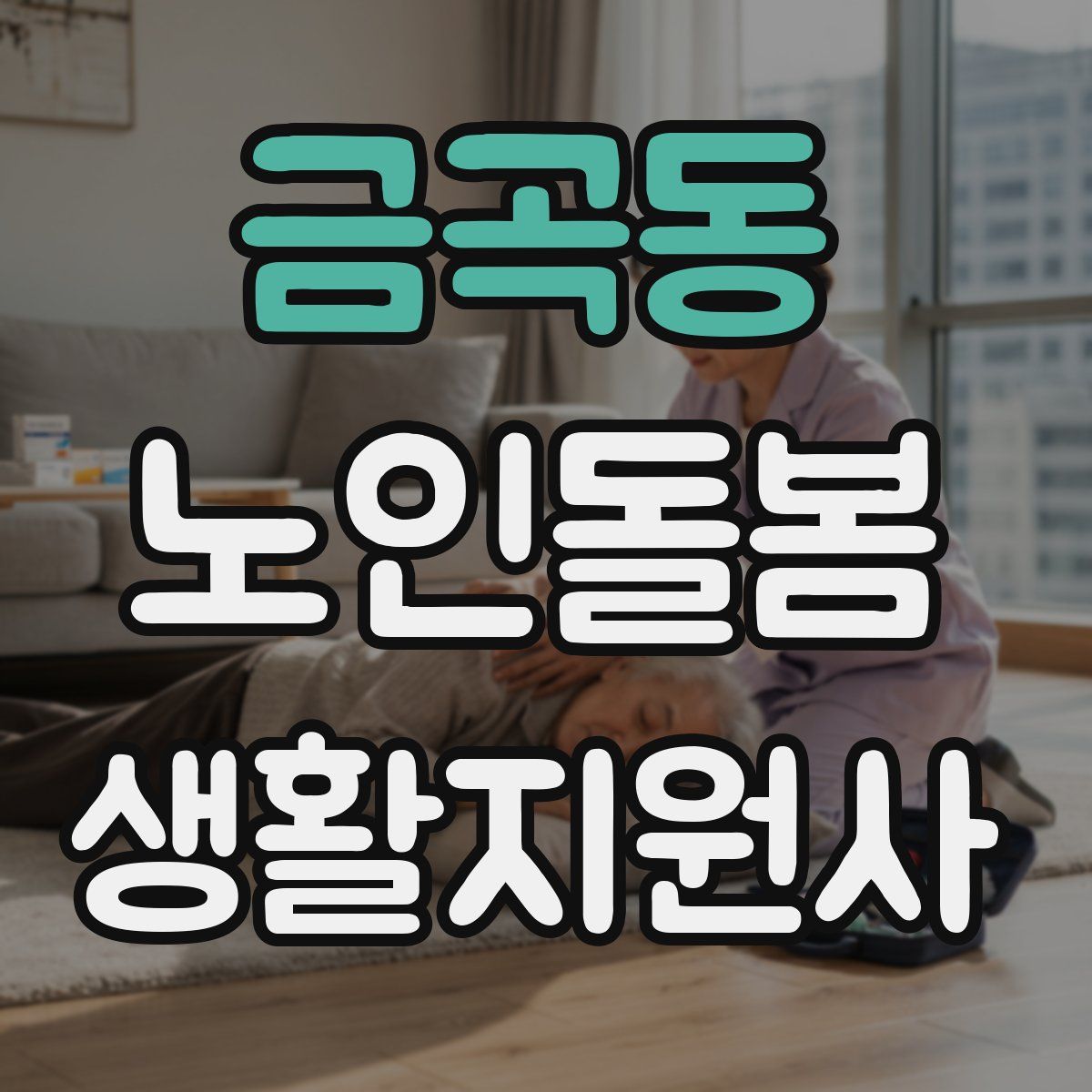 금곡동 노인돌봄생활지원사 자격증