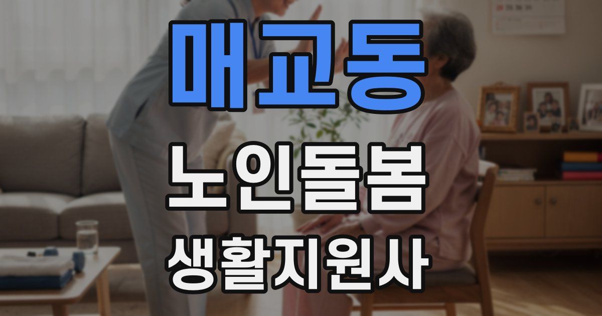 매교동 노인돌봄생활지원사 자격증