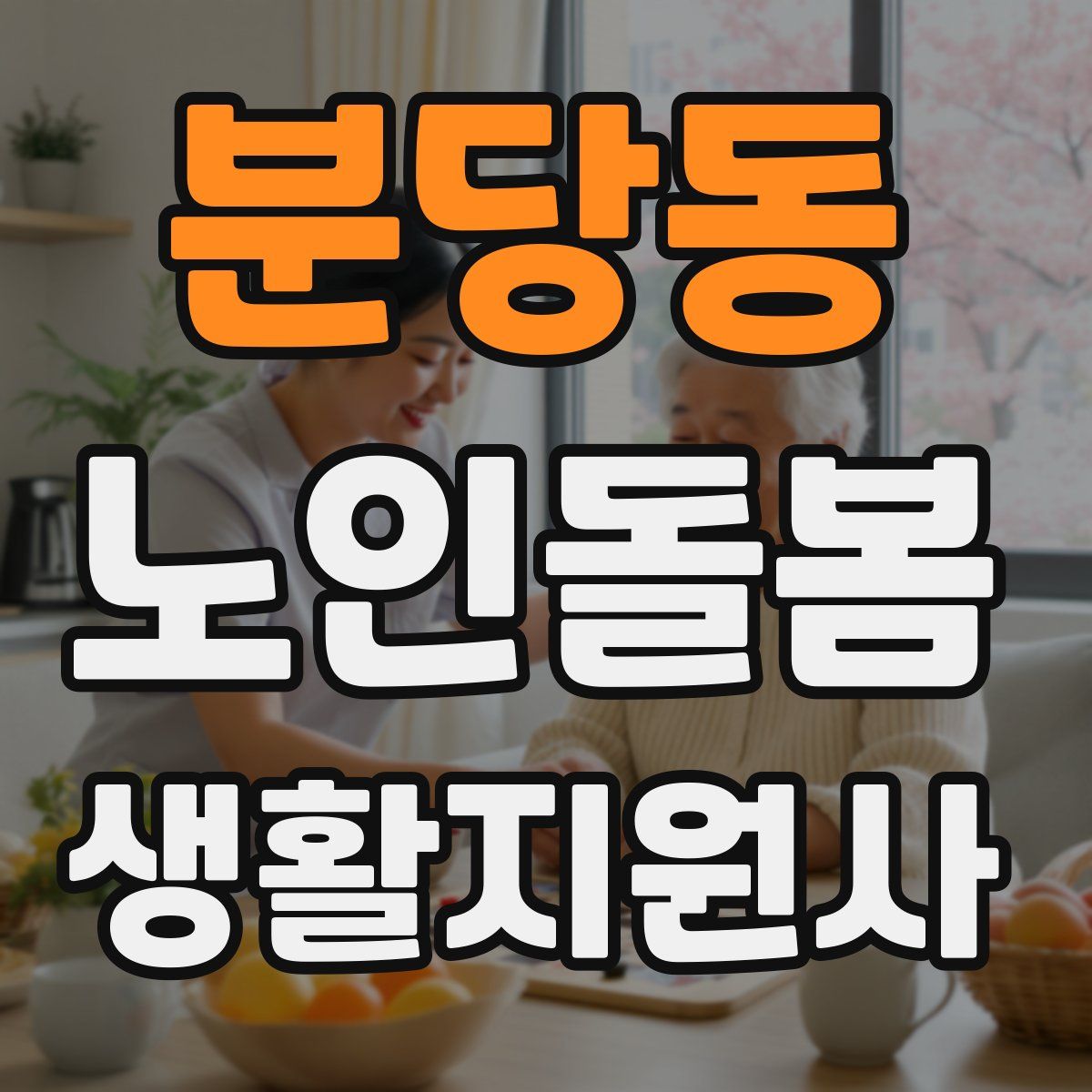 분당동 노인돌봄생활지원사 자격증