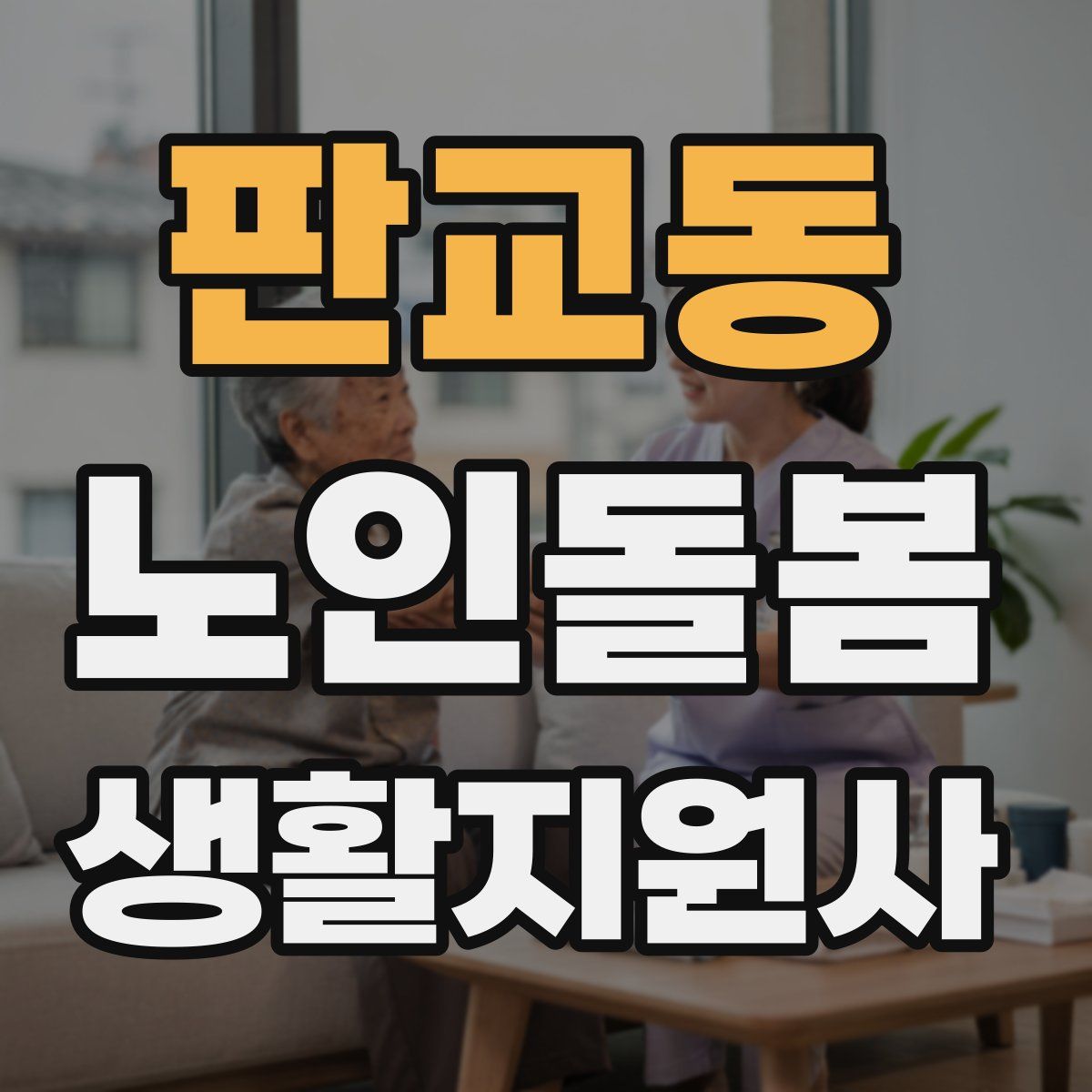 판교동 노인돌봄생활지원사 자격증