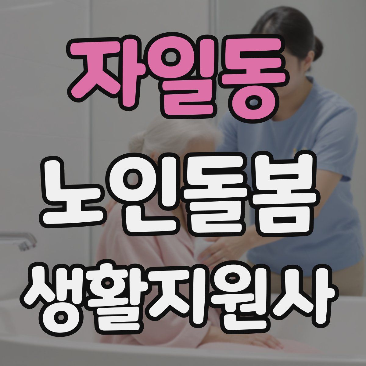 자일동 노인돌봄생활지원사 자격증