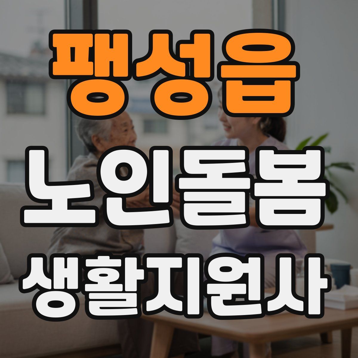 팽성읍 노인돌봄생활지원사 자격증