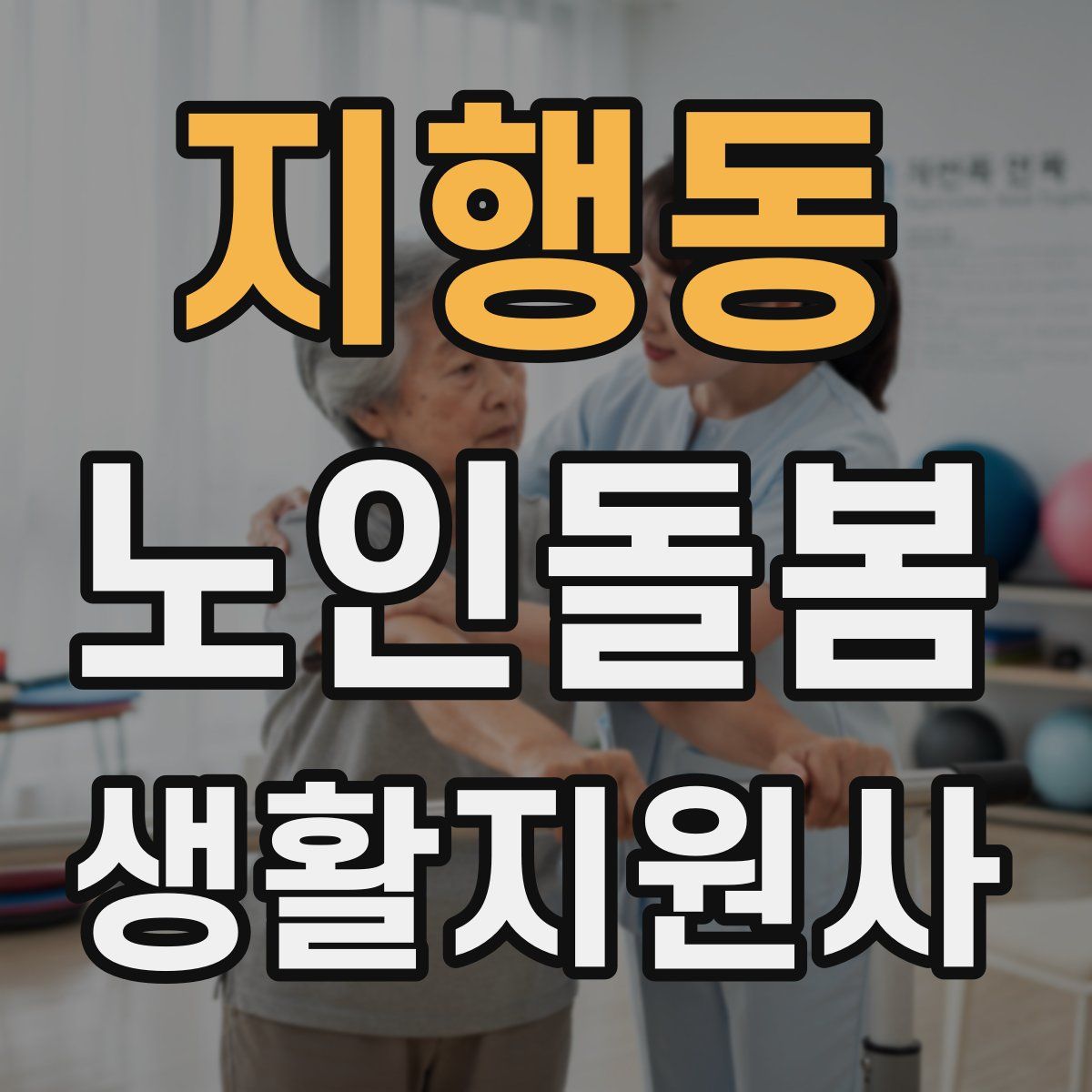지행동 노인돌봄생활지원사 자격증