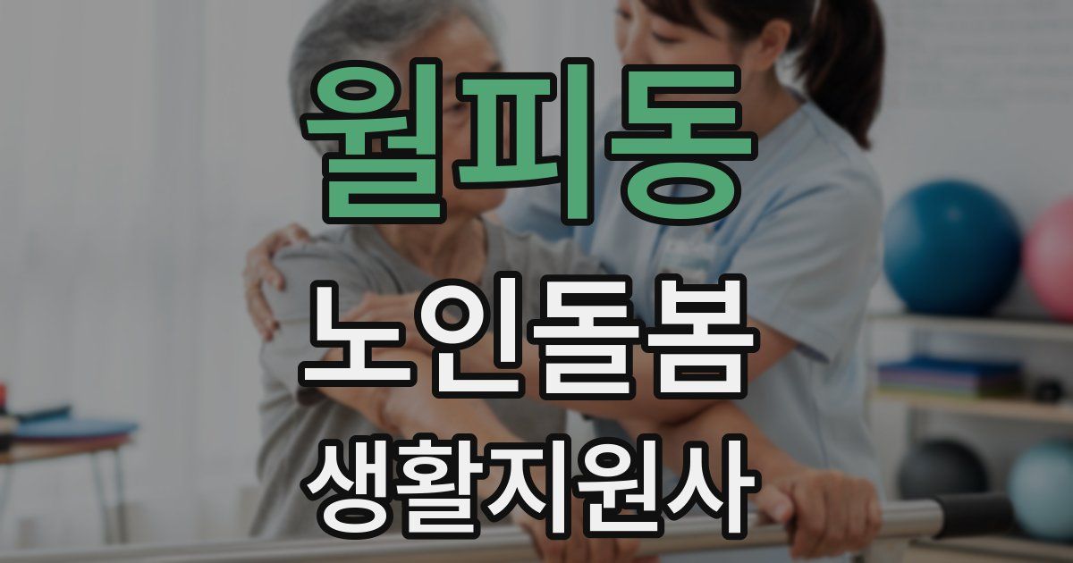 월피동 노인돌봄생활지원사 자격증