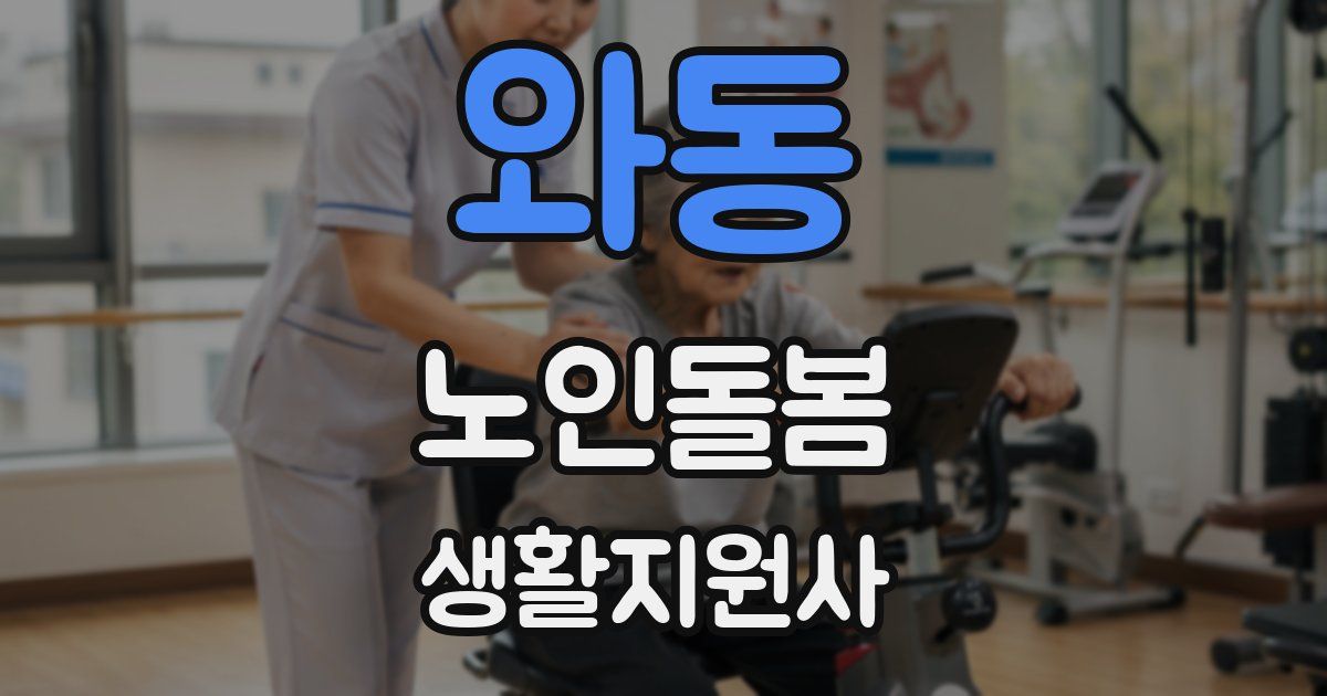와동 노인돌봄생활지원사 자격증