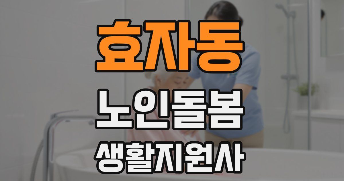 효자동 노인돌봄생활지원사 자격증