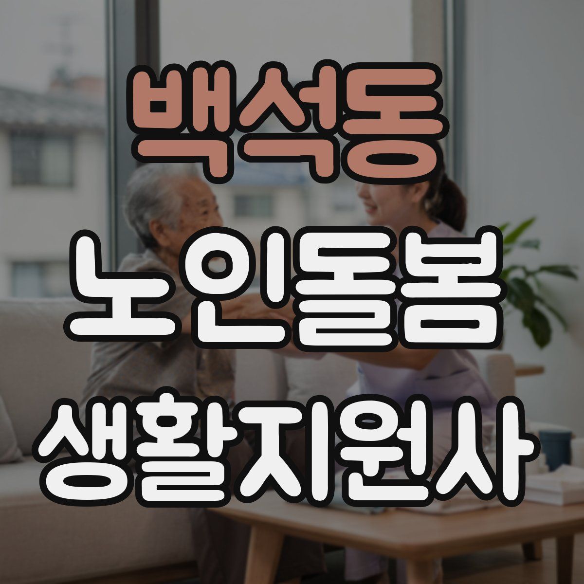 백석동 노인돌봄생활지원사 자격증