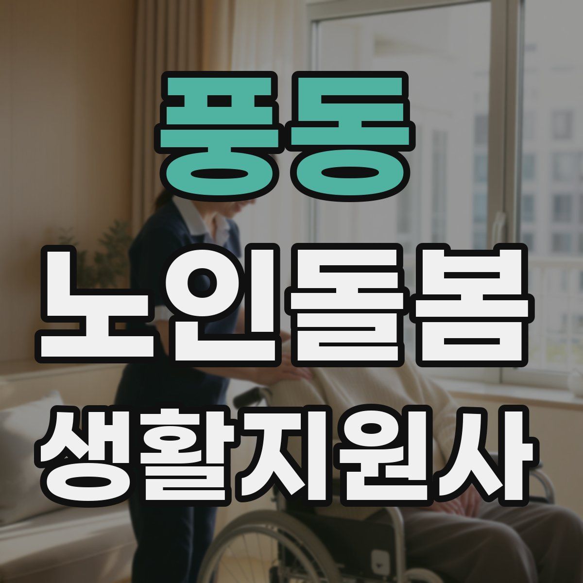 풍동 노인돌봄생활지원사 자격증