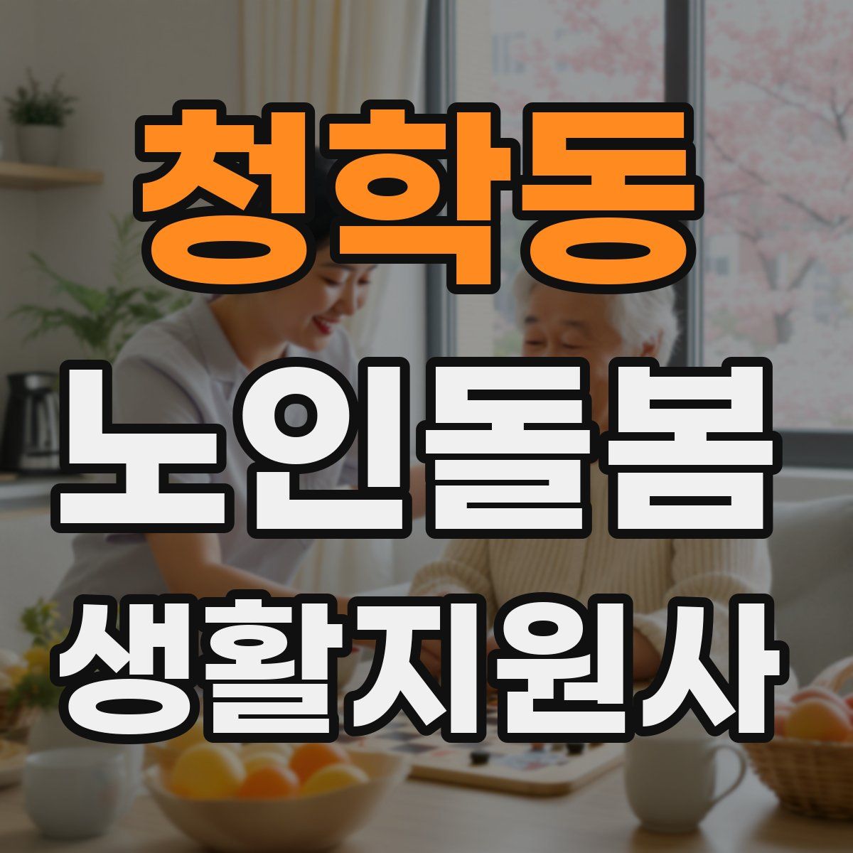 청학동 노인돌봄생활지원사 자격증