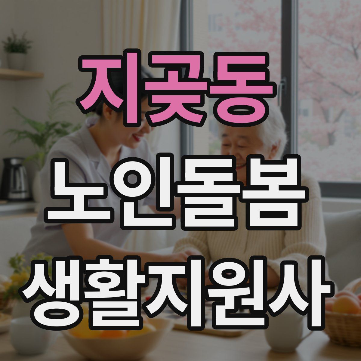 지곶동 노인돌봄생활지원사 자격증