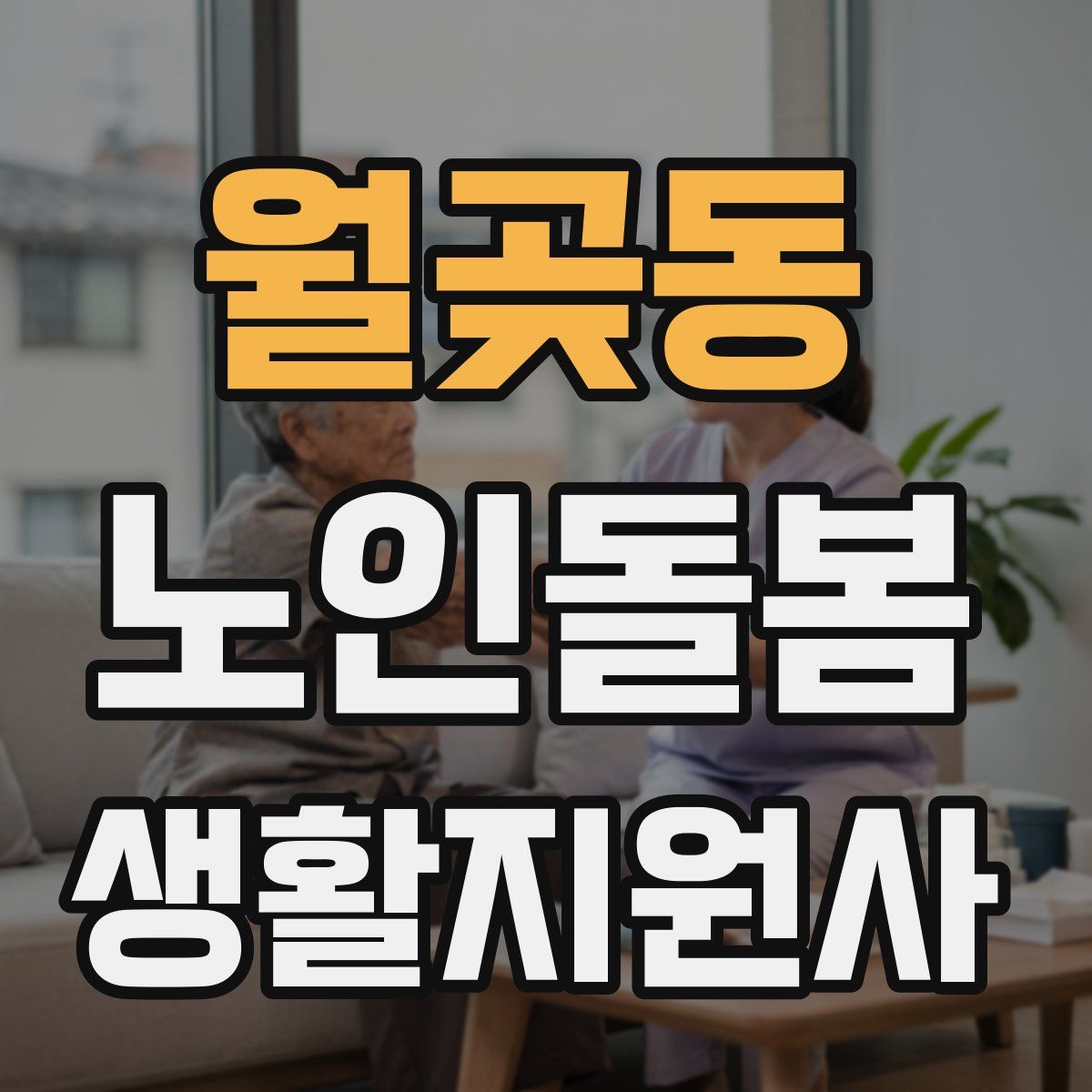 월곶동 노인돌봄생활지원사 자격증