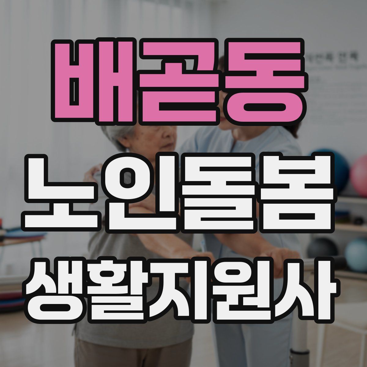 배곧동 노인돌봄생활지원사 자격증