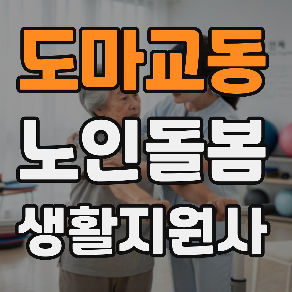 도마교동 노인돌봄생활지원사 자격증